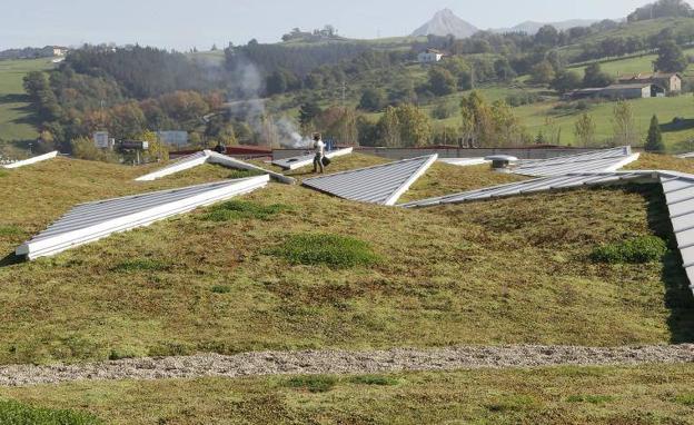 Un jardín en la cubierta del pabellón | El Diario Vasco